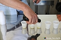 VBS_7201 - PressTour educational dedicato ai vini del Pinerolese e all’olio prodotto sulla collina di Pinerolo